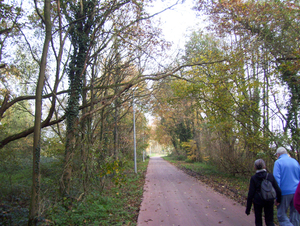 Wandeling naar de Vestinglaan - 20 november 2014