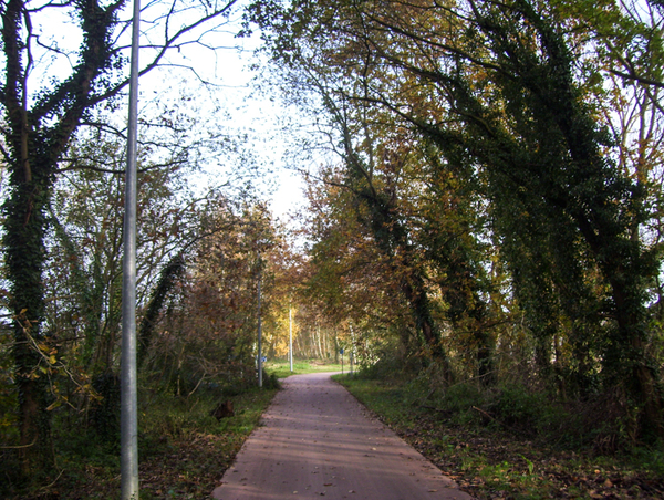 Wandeling naar de Vestinglaan - 20 november 2014