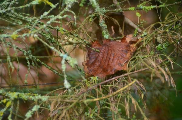 001 SLUIMERTIJD......