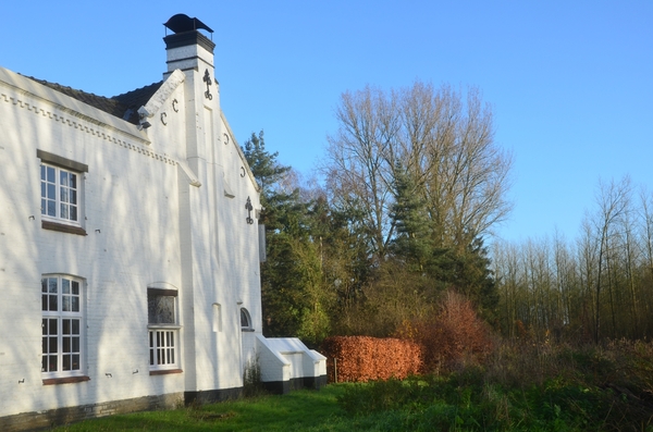 001 DE LIMO...VAN DE HERFST !