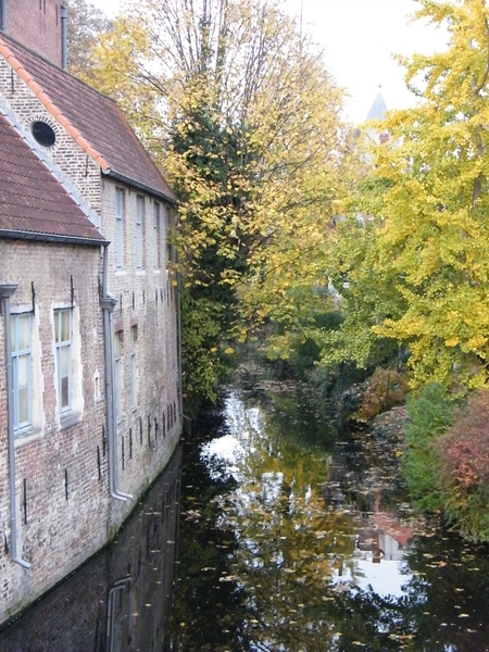 frisse stappers bruges by night aktivia