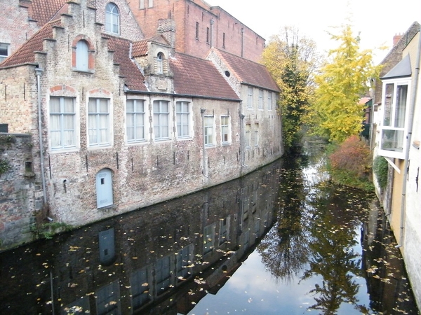 frisse stappers bruges by night aktivia