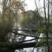 Elversele November 2014 001