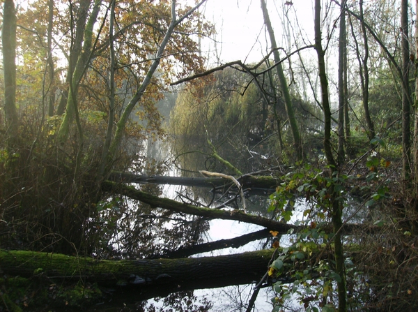 Elversele November 2014 001