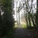 Elversele November 2014 002