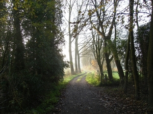 Elversele November 2014 002