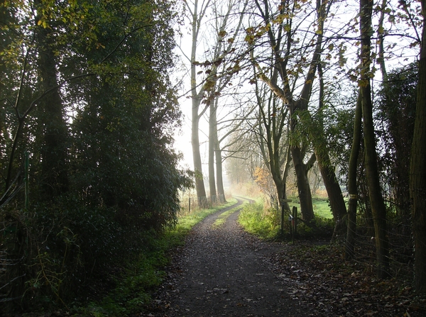 Elversele November 2014 002