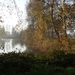 Elversele November 2014 003