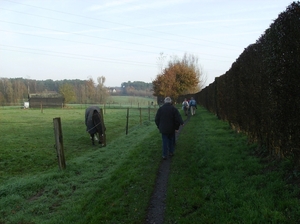 Elversele November 2014 004