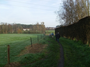 Elversele November 2014 005