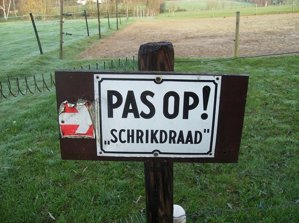 Elversele November 2014 006