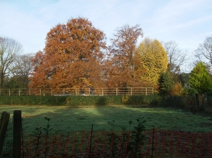 Elversele November 2014 007