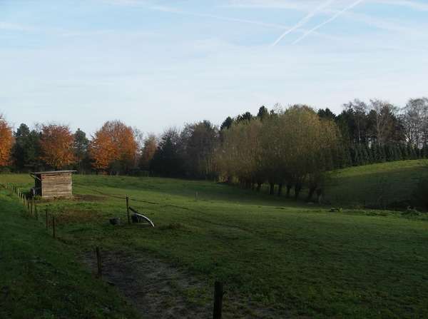 Elversele November 2014 009