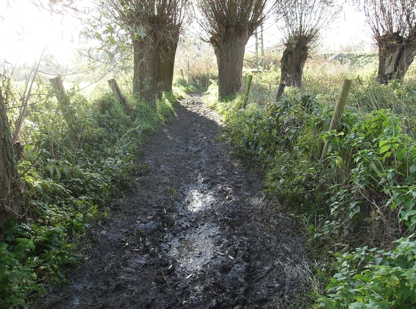 Elversele November 2014 010