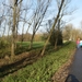 Elversele November 2014 011