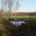 Elversele November 2014 012