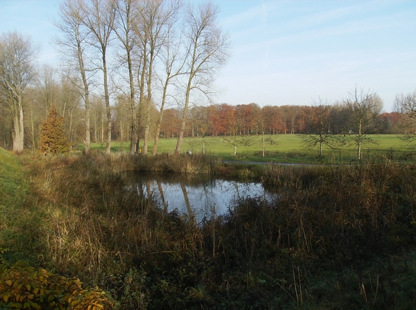 Elversele November 2014 012