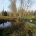 Elversele November 2014 013