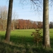 Elversele November 2014 014