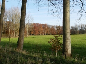 Elversele November 2014 014