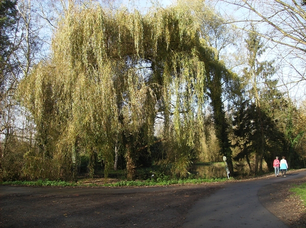 Elversele November 2014 015