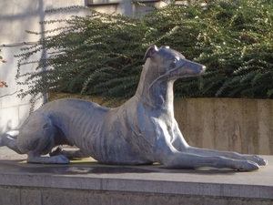 Chien de Jean De Nivelles