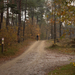 MTB Zonnestraal 2014-41