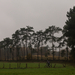 MTB Zonnestraal 2014-46