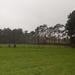 MTB Zonnestraal 2014-47