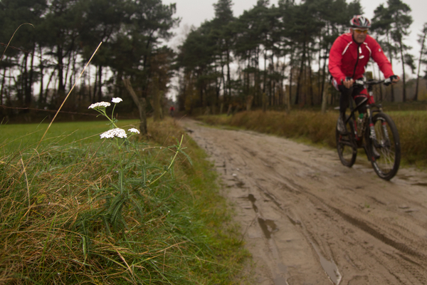 MTB Zonnestraal 2014-63