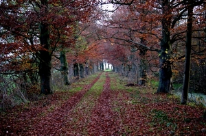 Van en naar De Hoef  (200m ??)