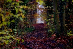 Hierna stappen we naar Dassenaarde