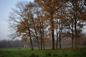 En zo sluiten we laatste