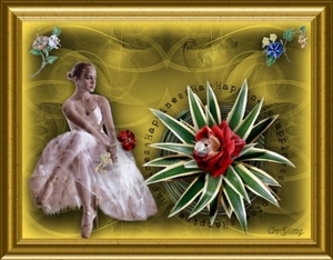 anna xxx