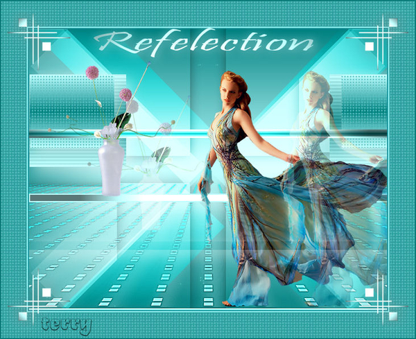 refelection door timy