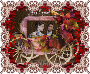 mooi koppel terry
