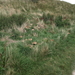 P9096790