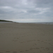 P9096799