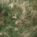 P9096788