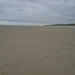 P9096798