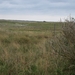 P9096804