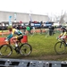 FLANDRIENCROSS HAMME 2014-4111