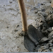 watermaatschappij beint te graven 1