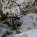 Watermaatschappij doet graafwerken (3)