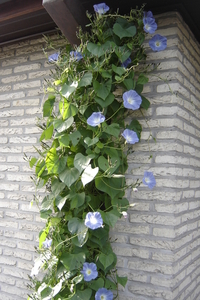 DSC02283