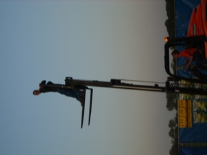 S8003382