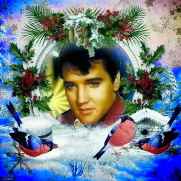 1475895_1399143806998173_1317025371_n