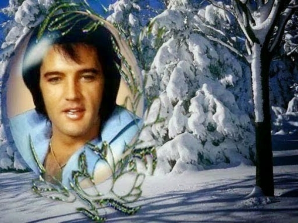 988882_370805146422845_6509793669340902487_n