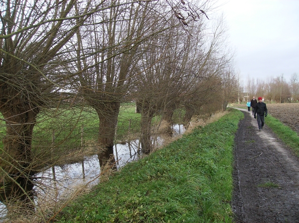 Zingem December 2014 003