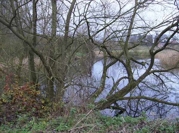 Zingem December 2014 018